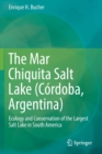Image for The Mar Chiquita Salt Lake (Cordoba, Argentina)