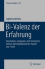 Image for Bi-Valenz der Erfahrung: Assoziation, Imaginares und Trieb in der Genesis der Subjektivitat bei Husserl und Freud