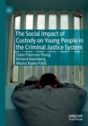 Image for The social impact of custody on young people in the criminal justice system