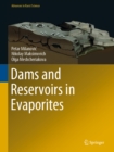 Image for Dams and Reservoirs in Evaporites