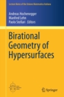 Image for Birational Geometry of Hypersurfaces