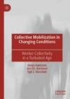 Image for Collective mobilization in changing conditions  : worker collectivity in a turbulent age