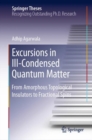 Image for Excursions in Ill-Condensed Quantum Matter