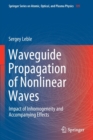 Image for Waveguide Propagation of Nonlinear Waves