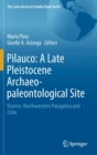 Image for Pilauco: A Late Pleistocene Archaeo-paleontological Site