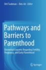 Image for Pathways and Barriers to Parenthood : Existential Concerns Regarding Fertility, Pregnancy, and Early Parenthood