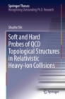 Image for Soft and Hard Probes of QCD Topological Structures in Relativistic Heavy-Ion Collisions