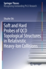 Image for Soft and Hard Probes of QCD Topological Structures in Relativistic Heavy-Ion Collisions
