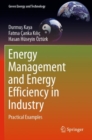 Image for Energy management and energy efficiency in industry  : practical examples