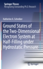 Image for Ground States of the Two-Dimensional Electron System at Half-Filling under Hydrostatic Pressure