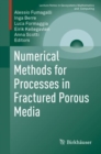 Image for Numerical Methods for Processes in Fractured Porous Media