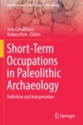 Image for Short-Term Occupations in Paleolithic Archaeology : Definition and Interpretation