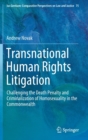 Image for Transnational Human Rights Litigation