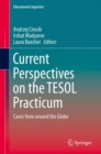 Image for Current Perspectives on the TESOL Practicum: Cases from around the Globe : 40