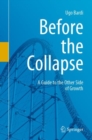 Image for Before the Collapse : A Guide to the Other Side of Growth