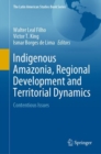 Image for Indigenous Amazonia, Regional Development and Territorial Dynamics: Contentious Issues