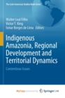 Image for Indigenous Amazonia, Regional Development and Territorial Dynamics