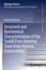 Image for Structural and Biochemical Characterization of the YaxAB Pore-forming Toxin from Yersinia Enterocolitica