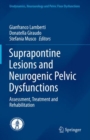 Image for Suprapontine Lesions and Neurogenic Pelvic Dysfunctions: Assessment, Treatment and Rehabilitation