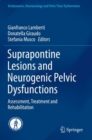Image for Suprapontine Lesions and Neurogenic Pelvic Dysfunctions
