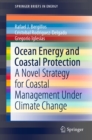 Image for Ocean Energy and Coastal Protection: A Novel Strategy for Coastal Management Under Climate Change