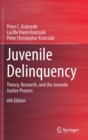 Image for Juvenile Delinquency : Theory, Research, and the Juvenile Justice Process