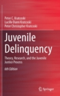 Image for Juvenile Delinquency