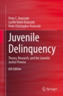 Image for Juvenile Delinquency: Theory, Research, and the Juvenile Justice Process