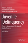 Image for Juvenile Delinquency : Theory, Research, and the Juvenile Justice Process