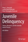 Image for Juvenile Delinquency