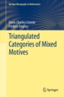 Image for Triangulated Categories of Mixed Motives