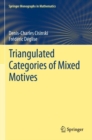 Image for Triangulated Categories of Mixed Motives