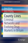 Image for County Lines: Criminal Networks and Evolving Drug Markets in Britain