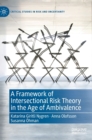 Image for A framework of intersectional risk theory in the age of ambivalence