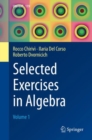 Image for Selected Exercises in Algebra : Volume 1