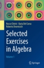 Image for Selected Exercises in Algebra: Volume 1. (La Matematica per il 3+2) : 119