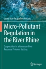 Image for Micro-pollutant regulation in the River Rhine  : cooperation in a common-pool resource problem setting