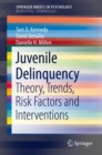 Image for Juvenile Delinquency: Theory, Trends, Risk Factors and Interventions. (SpringerBriefs in Behavioral Criminology)
