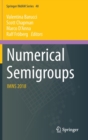 Image for Numerical Semigroups : IMNS 2018