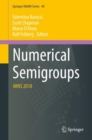Image for Numerical Semigroups: Imns 2018