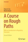 Image for A Course on Rough Paths