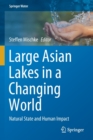 Image for Large Asian Lakes in a Changing World