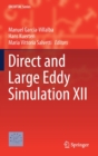Image for Direct and Large Eddy Simulation XII