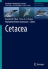 Image for Cetacea
