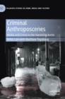 Image for Criminal anthroposcenes  : media and crime in the vanishing Arctic