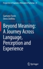 Image for Beyond Meaning: A Journey Across Language, Perception and Experience