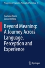 Image for Beyond Meaning: A Journey Across Language, Perception and Experience
