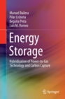 Image for Energy Storage : Hybridization of Power-to-Gas Technology and Carbon Capture