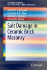 Image for Salt Damage in Ceramic Brick Masonry