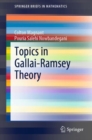 Image for Topics in Gallai-Ramsey Theory